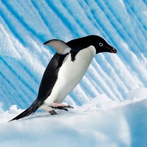 Meet your Posher, Nick